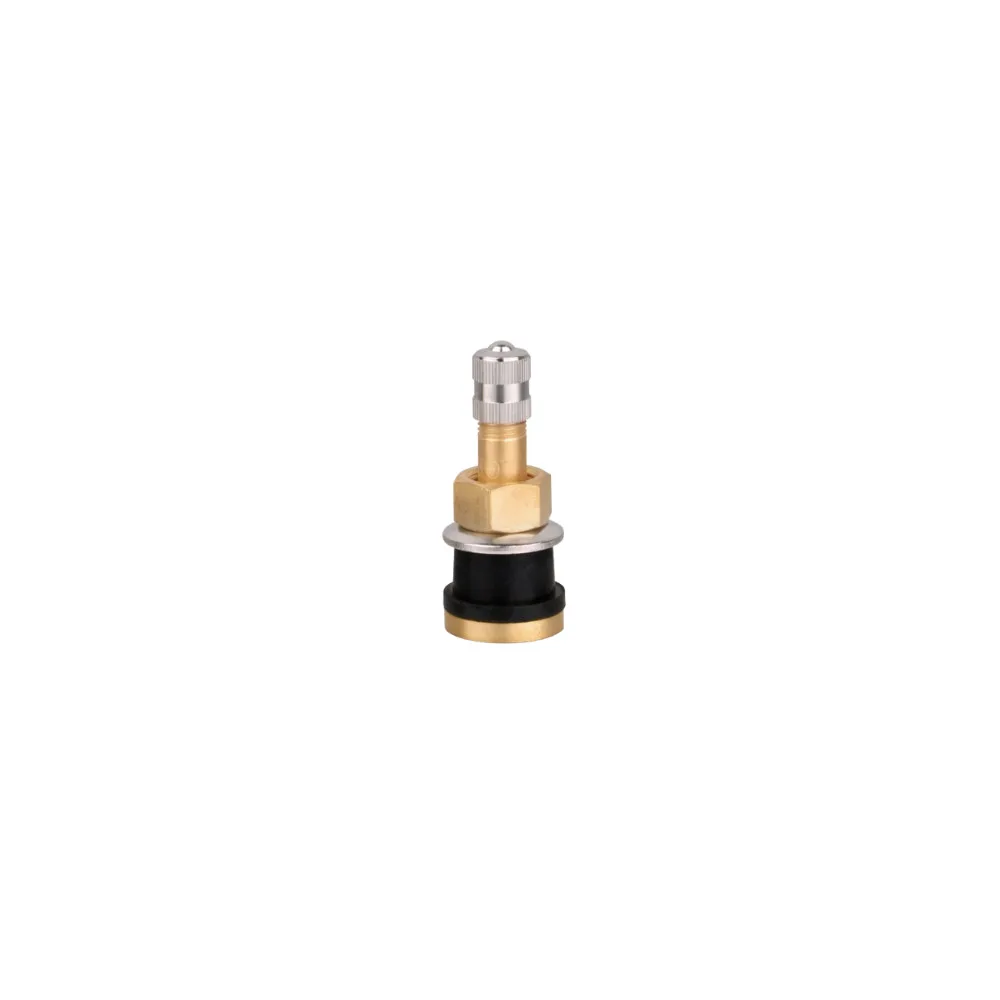 Lastbils ventil TR501